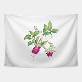 Fuchsia Tapestry