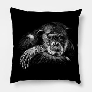 Monkey Pillow