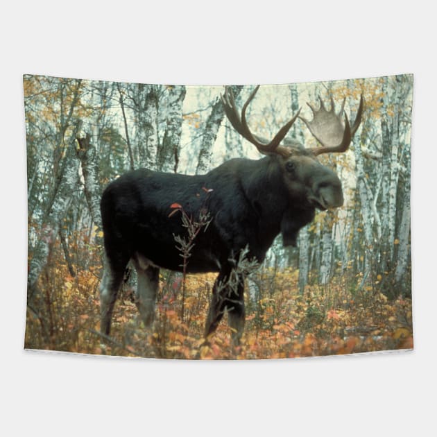 Huge Moose Tapestry by Bravuramedia