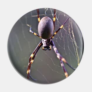 Australian Orb Weaver Spider Pin
