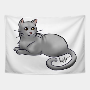 Cat - American Shorthair - Gray Tapestry