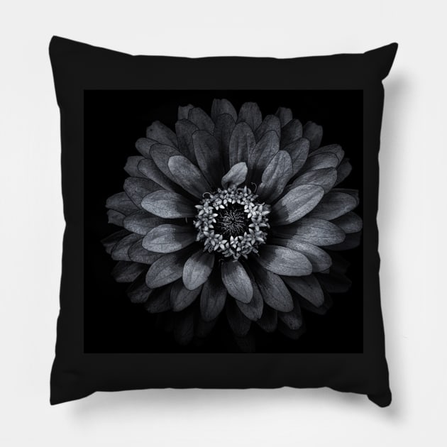 Backyard Flowers In Black And White 69 Pillow by learningcurveca