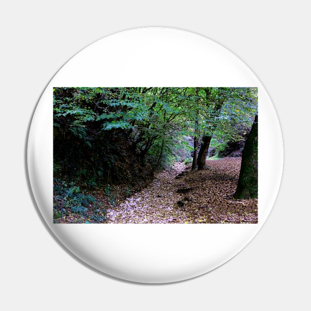 A walk in the woods Pin by annalisa56