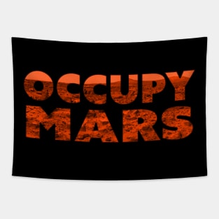 Occupy Mars Spacex Perseverance Rover Landing Commemoration 2021 Tapestry