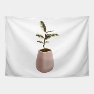 Ficus Tineke Tapestry