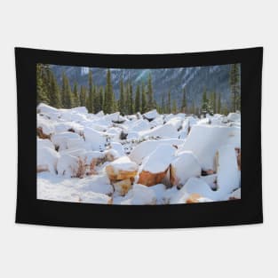 Among the Rocks: Autumn Snow in The Rockies Tapestry