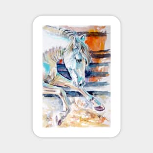 Andalusian horse II Magnet