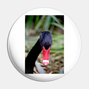Black Swan Portrait Pin