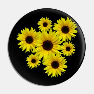 blooming sunflowers sunflower bloom flowers bunch Pin