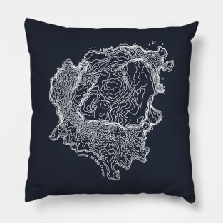 Mayor Island (Tuhua) Pillow