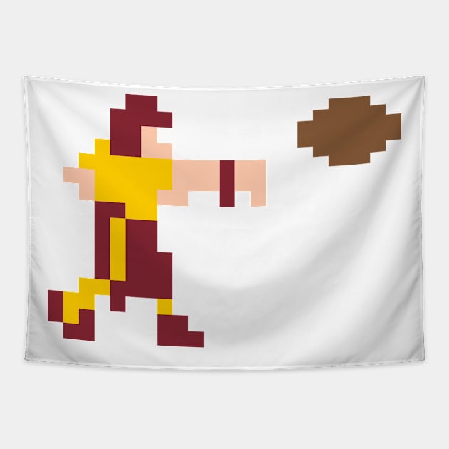 Pixel Pass - Washington Tapestry by The Pixel League