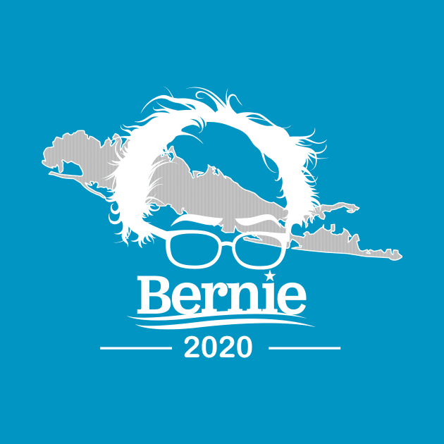 Bernie 2020 Long Island by Frank Imburgio