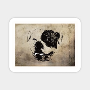 American Bulldog Magnet