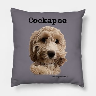 Golden Apricot Cockapoo / Spoodle and Doodle Dog Pillow