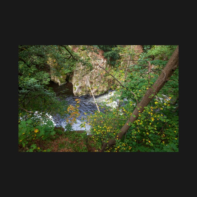 Bodetal, Bode, river, brook,, Thale, Harz, Germany, autumn by Kruegerfoto