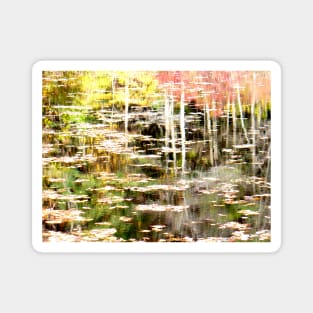 Side Bog at Walden Pond Magnet