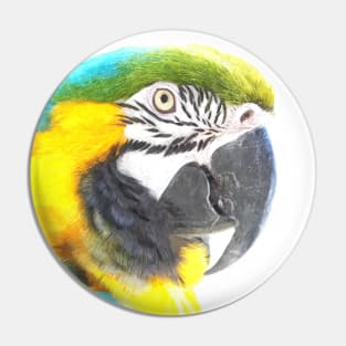 Macaw Portrait Pin