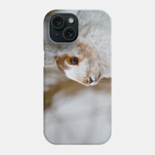 Snow Shoe Hare Phone Case