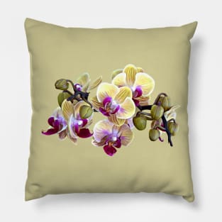 Pale Yellow and Magenta Phalaenopsis Orchids Pillow