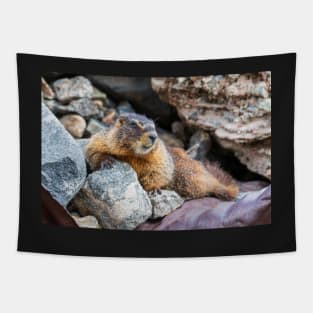 Marmot Tapestry