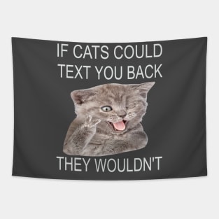 If Cats Could Text You Back - They Wouldn't Tapestry