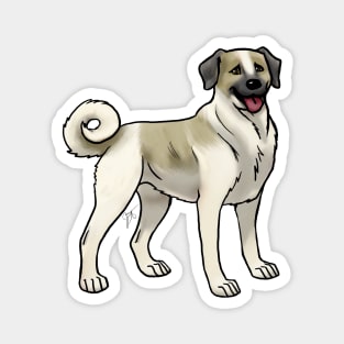 Dog - Anatolian Shepherd - Fawn and White Magnet