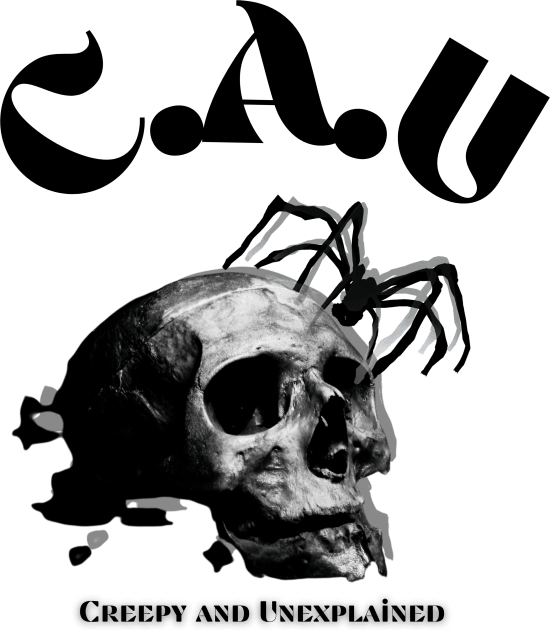 CAU (creepy and unexplained) Skull with spider Conspiracy t-shirt for all sizes and ages Kids T-Shirt by Creepy And Unexplained