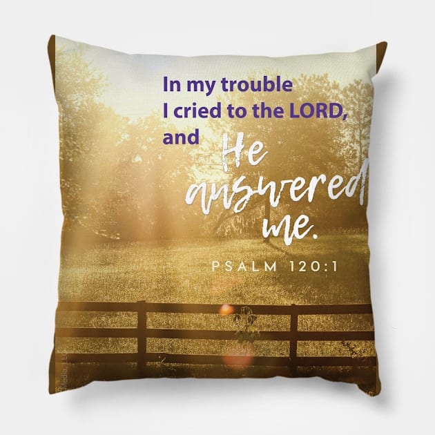 In my trouble I cried to the Lord and He answered me.  Psalm 120:1 Pillow by Third Day Media, LLC.