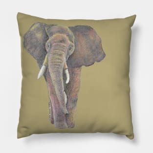 Elephant Pillow