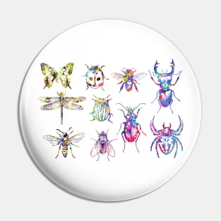 Insect Collection Pin