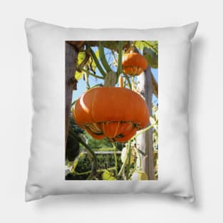 Turban Squash Pillow