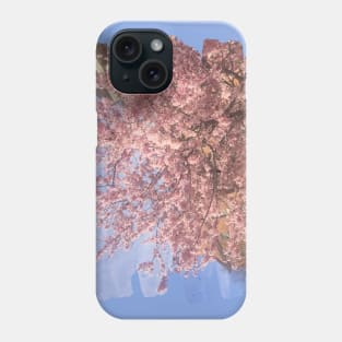 Photo flowers cherry blossom in DC dc statehood simple pink Phone Case