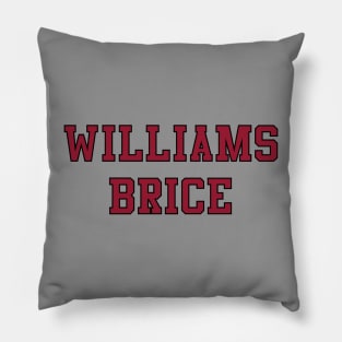 Williams-Brice Stadium Pillow