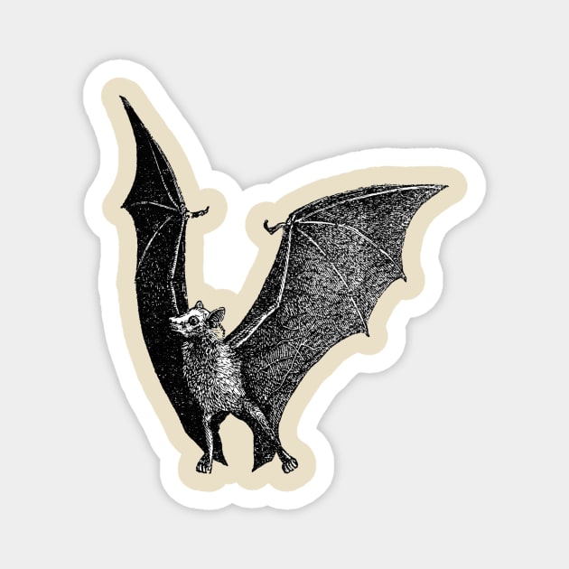 Bat Vintage Illustration Magnet by aimtrue