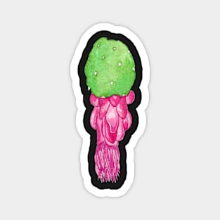 Cactus flower Magnet