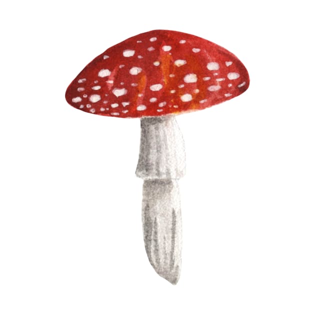 Mushroom Master Fly Agaric by Mushroom Master