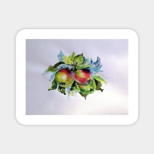 Apples Magnet