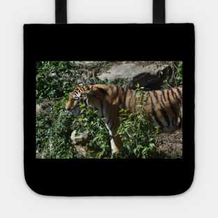 Tiger Tote