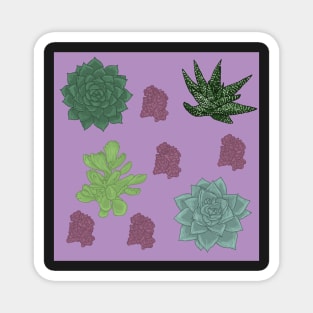 Succulents Pattern Purple Magnet