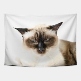 Katze Siam / Swiss Artwork Photography Tapestry