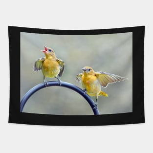 Oriole Fledglings Tapestry