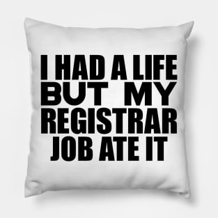 I had a life, but my registrar job ate it Pillow