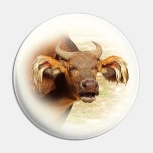 African forest buffalo Pin