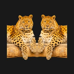 Two leopards T-Shirt