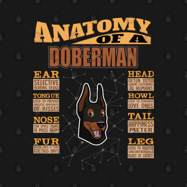 Disover Anatomy Of A Doberman - Doberman Doberman Pinscher,Dobie,dog,face, - Doberman - T-Shirt