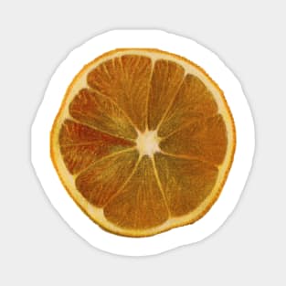 Vintage Orange Slice Magnet