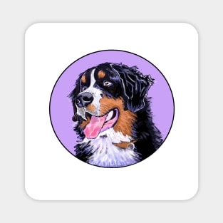 BERNER DOG LAVENDER Magnet