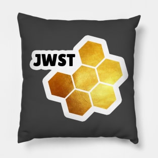 James Webb Space Telescope Pillow