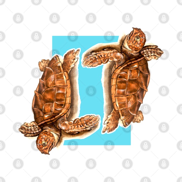 Turtles Drawing by Marccelus