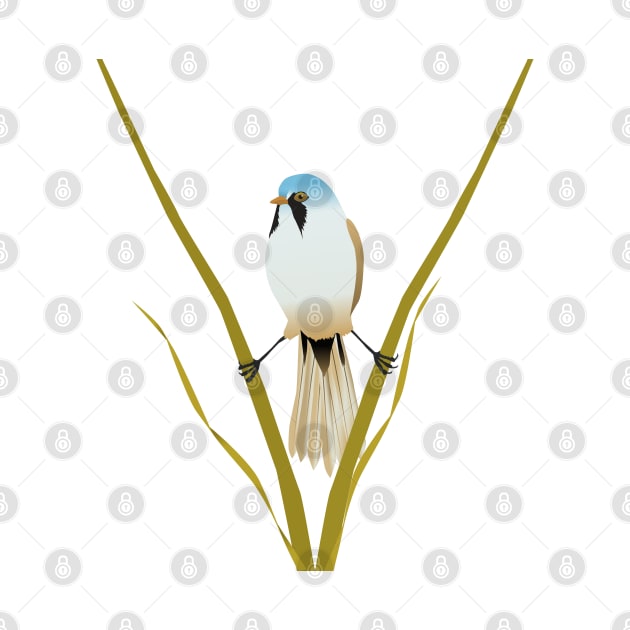 Bearded reedling digital illustration by Bwiselizzy